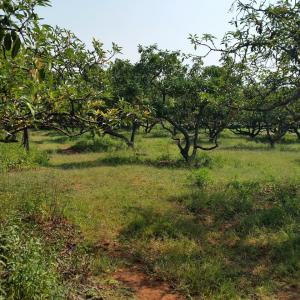 Rustenburg, North West, 南非