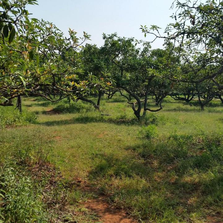 Rustenburg, North West, 南非