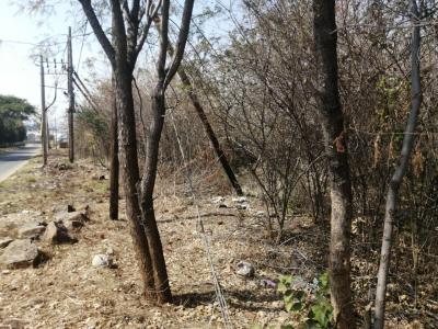 Rustenburg, North West, South Africa