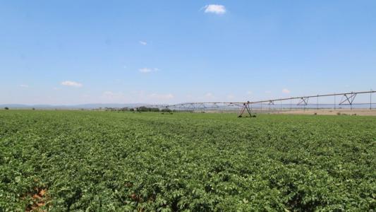 Modimolle, Limpopo, South Africa