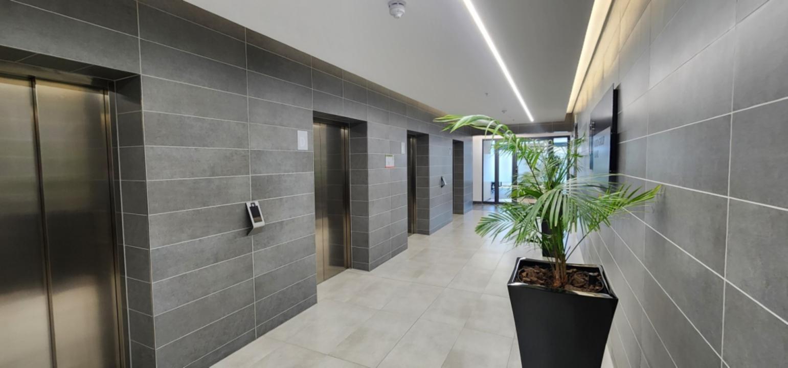 Cape Town, Western Cape, Nam Mỹ