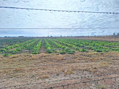 Polokwane, Limpopo, Republika Południowej Afryki