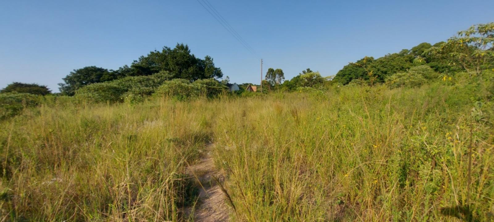 White River, 姆普馬蘭加, 南非