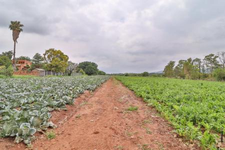 Pretoria, Gauteng, South Africa