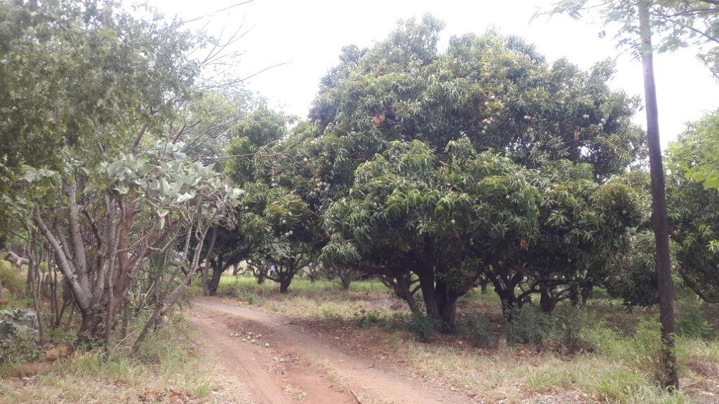 Rustenburg, North West, 南非