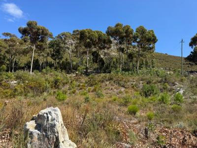 Hermanus, Western Cape, South Africa