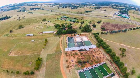 Krugersdorp, Gauteng, South Africa