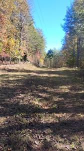 Rizzitello Lane, Blairsville, Geórgia 30512, Estados Unidos