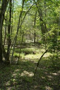 Rizzitello Lane, Blairsville, Geórgia 30512, Estados Unidos