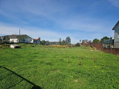 Albergaria A Velha, 아베이루 3850-412, 포르투갈