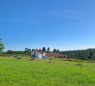 Castelo Branco, Castelo Branco 6000-631, Portugal
