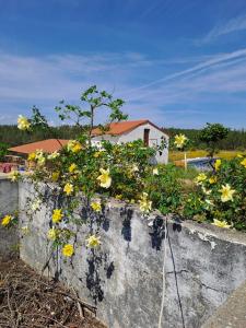 Castelo Branco, Castelo Branco 6000-631, Portugal