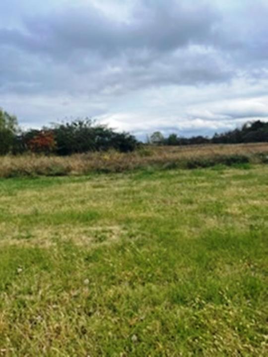 3160 New Holt Rd, Paducah, ケンタッキー 42001, アメリカ合衆国