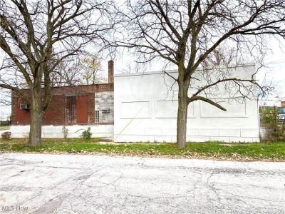 9123 Inman Avenue, Cleveland, Ohio 44105, USA