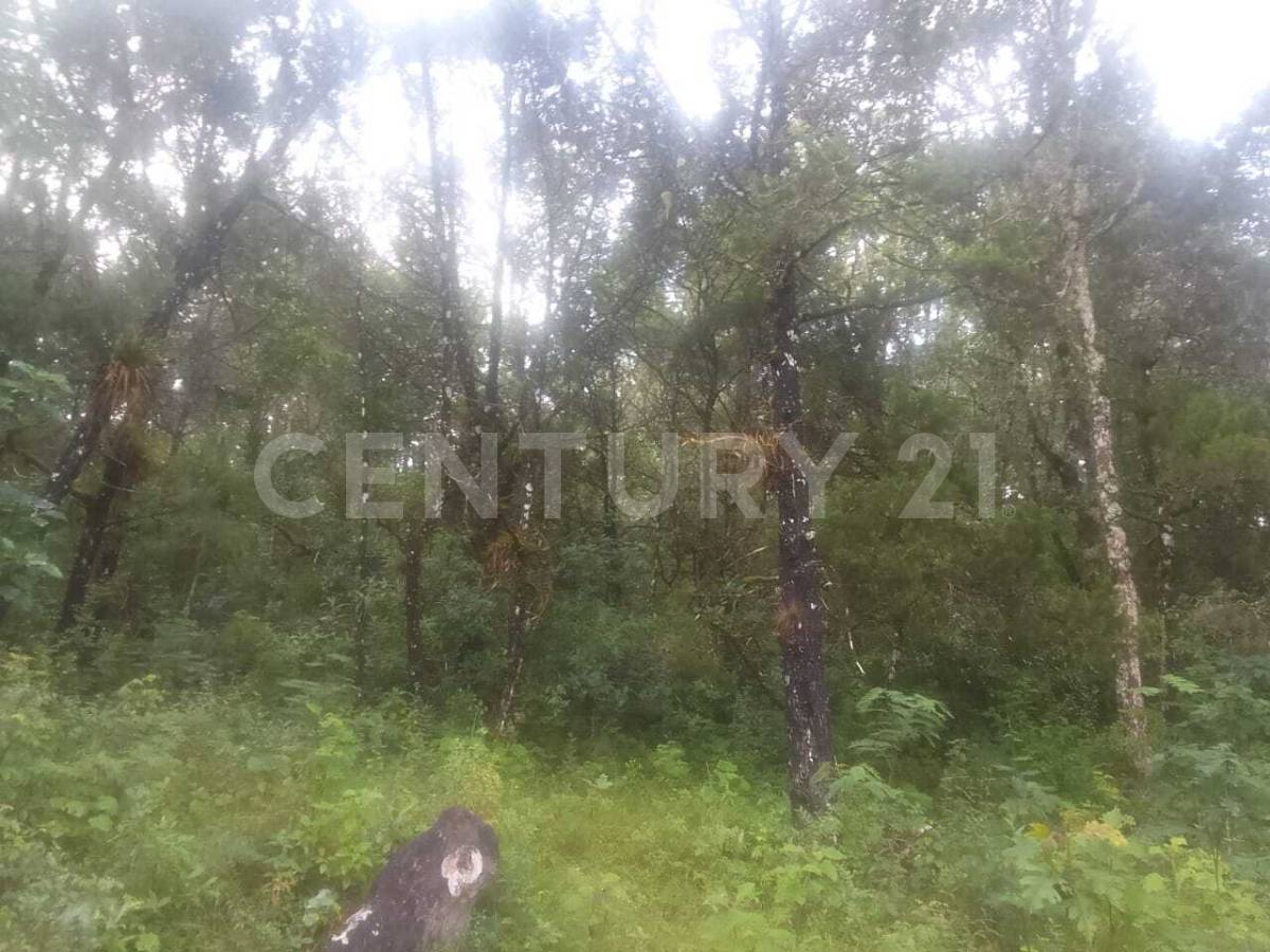 Fraccion del predio rustico El Porvenir s/n, Teopisca, 恰帕斯 29410, 墨西哥