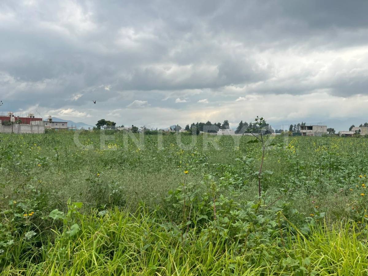 Boulevard Cuatro Vientos S/N, Chalco, Estado De Mexico 56643, Mexico