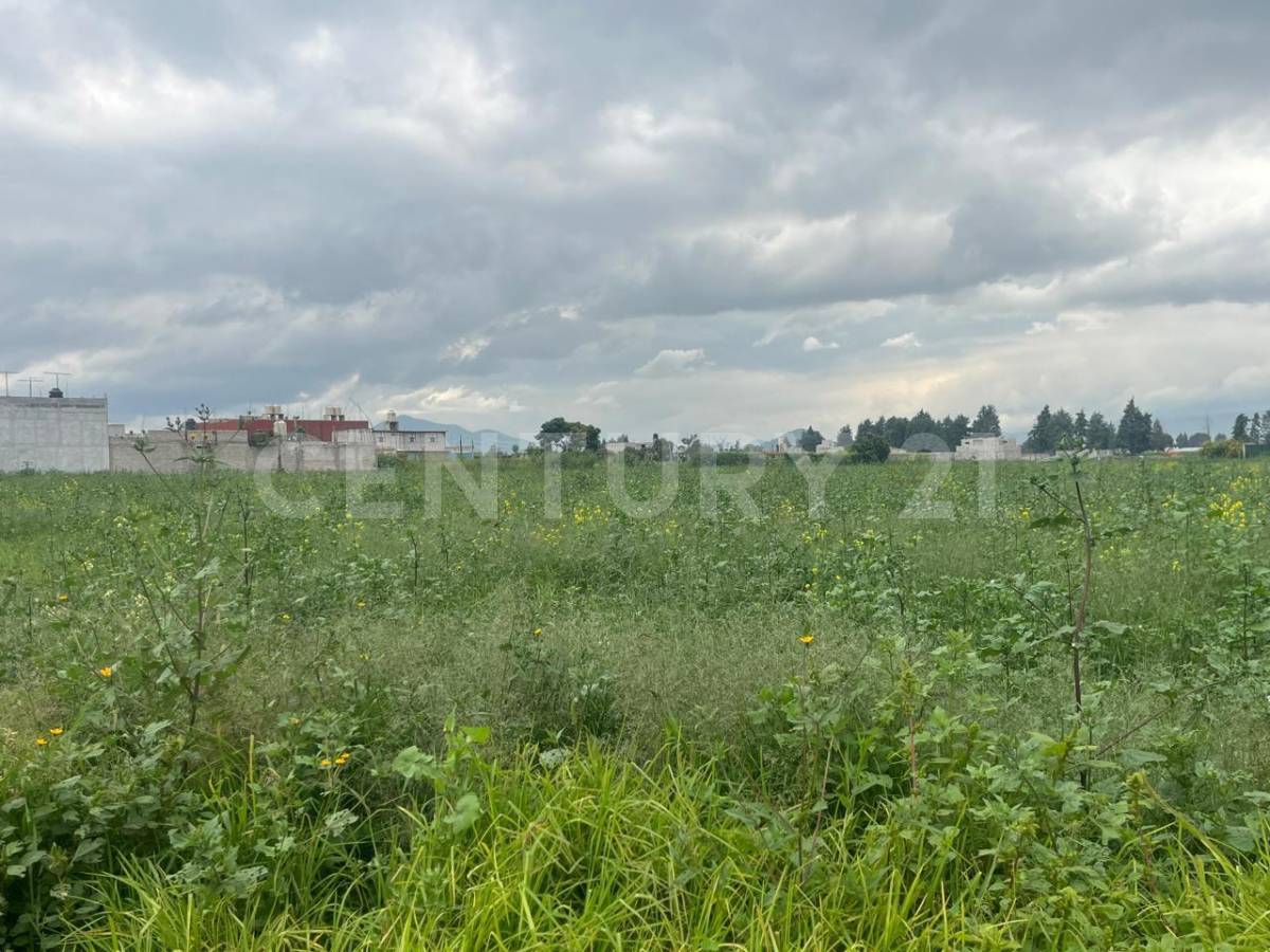 Boulevard Cuatro Vientos S/N, Chalco, Estado De Mexico 56643, Mexico