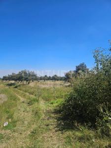 CARLOS B ZETINA, PREDIO RUSTICO DENOMINADO EL NOPAL 3601, Huejotzingo, Пуэбла 74160, Мексика
