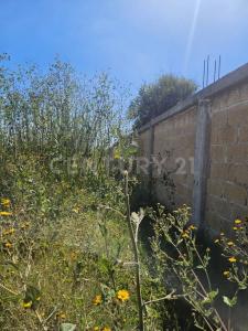 CARLOS B ZETINA, PREDIO RUSTICO DENOMINADO EL NOPAL 3601, Huejotzingo, Пуэбла 74160, Мексика