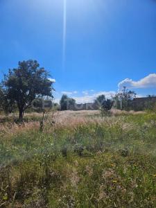 CARLOS B ZETINA, PREDIO RUSTICO DENOMINADO EL NOPAL 3601, Huejotzingo, Пуэбла 74160, Мексика