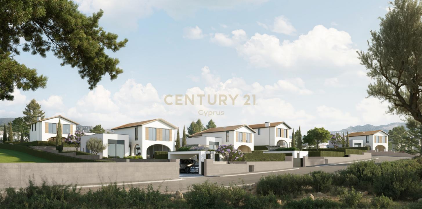 Souni-Zanakia, Chipre