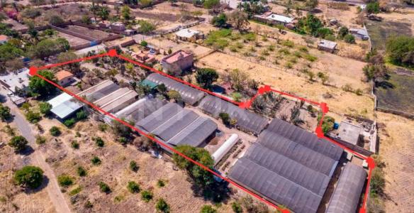 La Mojonera 102, Chapala, Jalisco 45920, Mexico