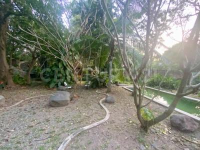 Primero de mayo 56, Comala, Colima 28450, México