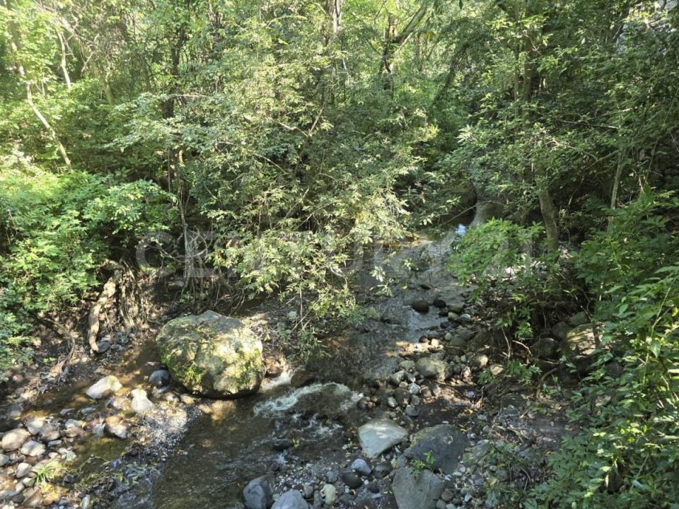 Primero de mayo 56, Comala, קולימה 28450, מקסיקו