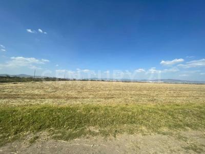 JAGUEY DE TELLEZ , Zempoala, Hidalgo 43840, Mexico