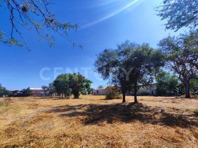 PASEO DE LAS FLORES, BARRIO DE GUADALUPE s/n, San Francisco Del Rincón, Guanajuato 36365, Mexico