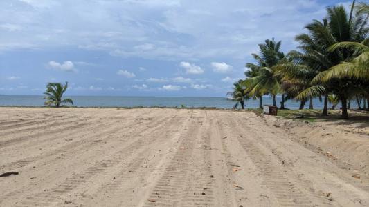 Sitee River Road , Hopkins, Hopkins, Stann Creek 00000, Belize