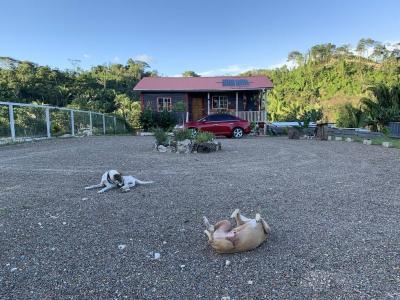 Agua Viva Entrance , Belmopan, Belmopan, Cayo 00001, בליז