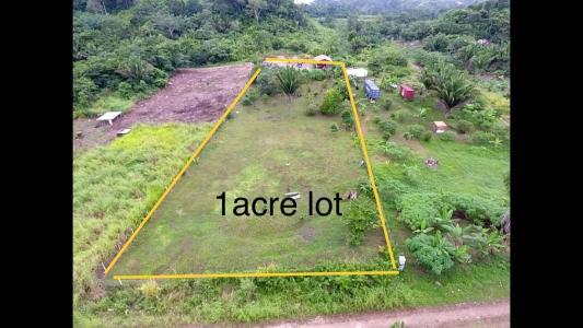 Agua Viva Entrance , Belmopan, Belmopan, Cayo 00001, בליז