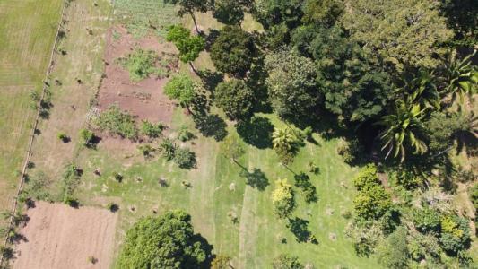Wilson Road , Cattle Landing, Cattle Landing, Toledo 00001, Belize