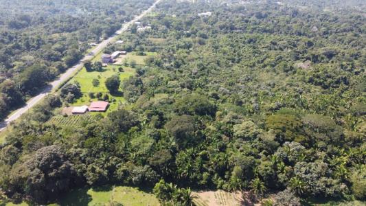 Wilson Road , Cattle Landing, Cattle Landing, Toledo 00001, Belize