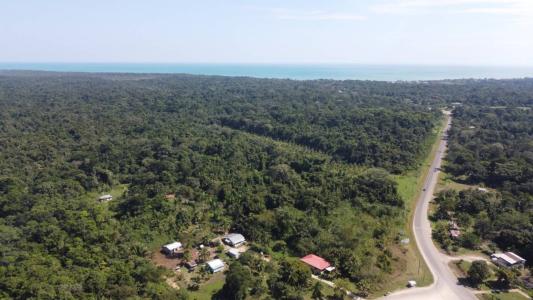 Wilson Road , Cattle Landing, Cattle Landing, Toledo 00001, Belize