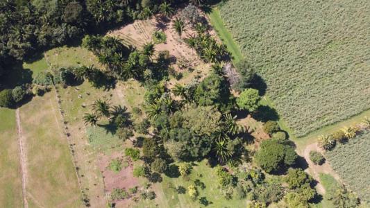 Wilson Road , Cattle Landing, Cattle Landing, Toledo 00001, Belize