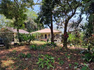  , Cattle Landing, Cattle Landing, Toledo 00001, 벨리즈