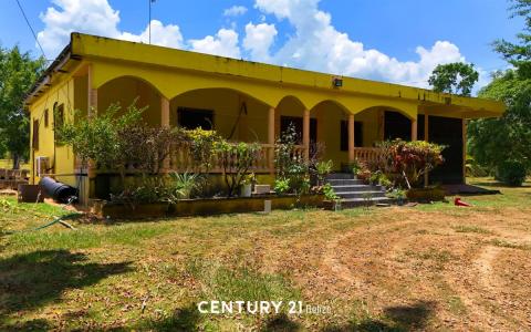 36 Mile George Price Highway, St Matthew's Village , Belmopan, Belmopan, Cayo 501, Belize