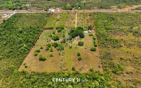 36 Mile George Price Highway, St Matthew's Village , Belmopan, Belmopan, Cayo 501, בליז 