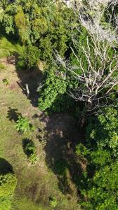  , Cattle Landing, Cattle Landing, Toledo 00001, Belize
