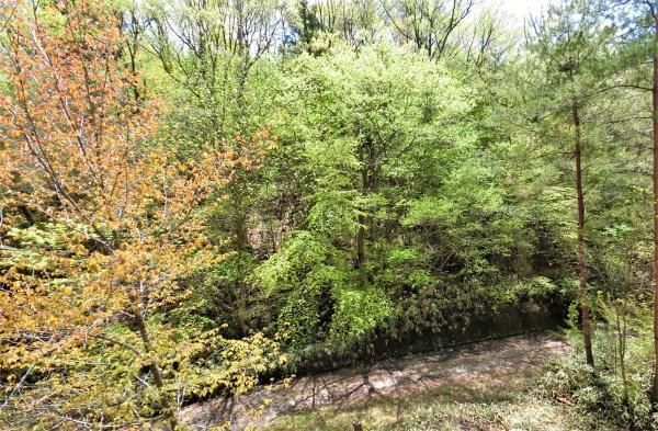 針町, 奈良市, נארה 632-0251, יפן