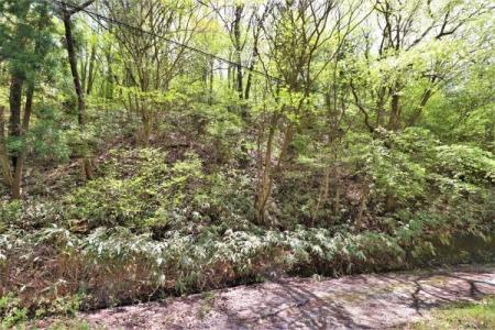 針町, 奈良市, נארה 632-0251, יפן