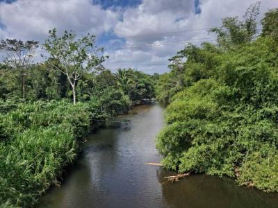 Dangriga, Dangriga, Stann Creek 00001, Belize