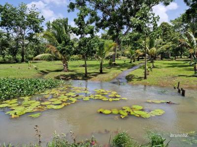 Emeri Grove, Emeri Grove, Toledo 00001, Belize