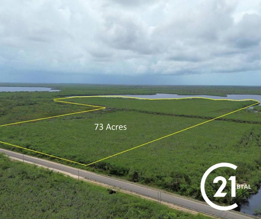 Belize District, Belize District, Belize District 501, Belice