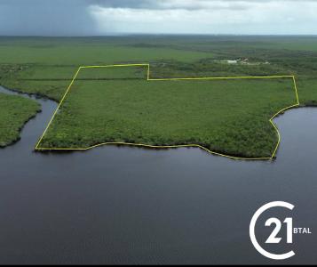 Belize District, Belize District, Belize District 501, Belice