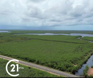 Belize District, Belize District, Belize District 501, Belice