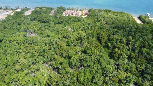 Hopkins, Hopkins, Stann Creek 00001, Belize