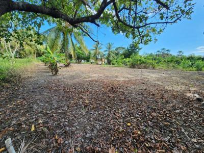 Riversdale, Riversdale, Placencia Peninsula 00001, Belize